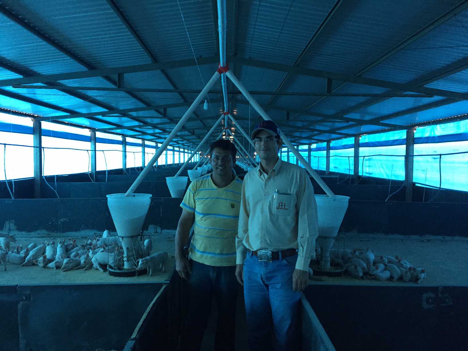 Parceria de suinocultura com a AH, demonstra grande sucesso